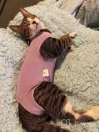 img 1 attached to 🐱 Surgical Abdominal Wound Recovery Suit for Cats - Indoor Pet Clothing & E-Collar Alternative Pajama Suit After Surgery review by Billy Stull