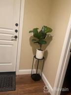 img 1 attached to Black Amazon Basics Plant Stand - Elevate Your Greenery! review by Sick Yeldell
