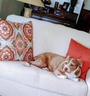 img 1 attached to Protect Your Wingback Chair In Style With 2-Piece Stretch Jacquard Slipcovers In Biscotti Beige review by Lucia Brown