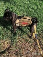 img 1 attached to Tactical Military Dog Harness With Vertical Handle And Durability For Small Puppies - XS (Neck: 11"-17", Chest: 15"-22") review by Jay Kowal