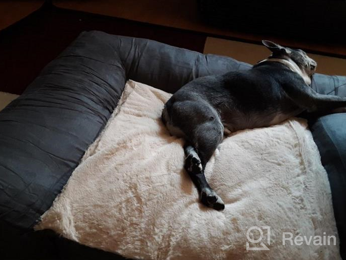 img 1 attached to Upgrade Your Dog'S Rest With EMME Sofa Style Orthopedic Beds - Deluxe Pet Couch With Egg Foam Mattress And Washable Fleece Cover review by Eric Edgar