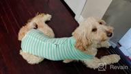 img 1 attached to MIGOHI Dog Surgery Recovery Suit - Reusable Pet Spay Surgical Shirt For Abdominal Wounds, Professional Male Female Alternative To Cone E-Collar review by Chris Jens