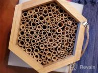 img 1 attached to Boost Your Garden'S Pollination With KIBAGA'S Handmade Bamboo Mason Bee House - A Haven For Productive And Peaceful Bee Pollinators! review by Julie Uhl