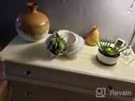 img 1 attached to Decorate Your Home With Supla 15 Pcs Assorted Artificial Succulent Plants - Bulk Pack review by Emili Hudson