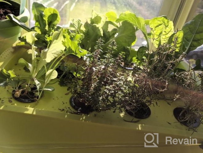 img 1 attached to Grow Fresh Herbs At Lightning Speed: Complete DWC Hydroponic System Kit With Large Airstone, 6-Site Bucket, And Air Pump For Indoor Kitchen Garden review by Mike Skinner