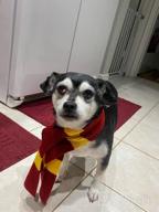 img 1 attached to XL Red And Yellow Striped Dog Scarf - ComfyCamper Pet Costume Clothes review by Billy Stull
