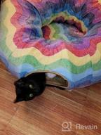 img 1 attached to Cat Heaven At Home! Get Your Furry Friend This Amazing 3-Way Collapsible Tunnel Bed With Ball Toy And Peek Hole For Fun Playtime And Exercise. review by Alton Walton