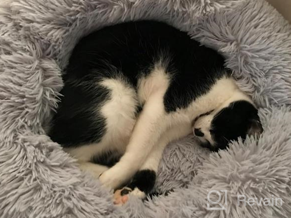 img 1 attached to Ultra Soft Self-Warming Donut Cuddler Round Cat Bed - XS(15.8" X 15.8") In Light Gray - Washable And Cozy For Indoor Cats - XZKING review by Tim Jolivette