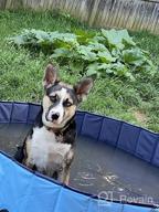 картинка 1 прикреплена к отзыву Складной бассейн для домашних животных для собак, кошек и детей - 32 дюйма в диаметре и 8 дюймов в высоту - складная ванна для купания собак Jasonwell синего цвета от Nhyiraba Wilson