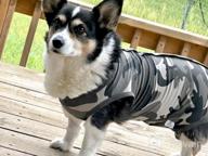 img 1 attached to Breathable Dog Surgical Recovery Suit For Male And Female Dogs - Ideal For Abdominal Wounds And Post-Operation Care, Anti-Licking Cone E Collar Alternative And Dog Vest, By LIANZIMAU review by Dewey Tory