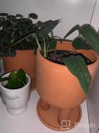 img 1 attached to Set Of 2 - 4.5" Terracotta Clay Plant Pots W/ 3 Legs & Saucer | Indoor Succulent Planters review by Jacob Richmond