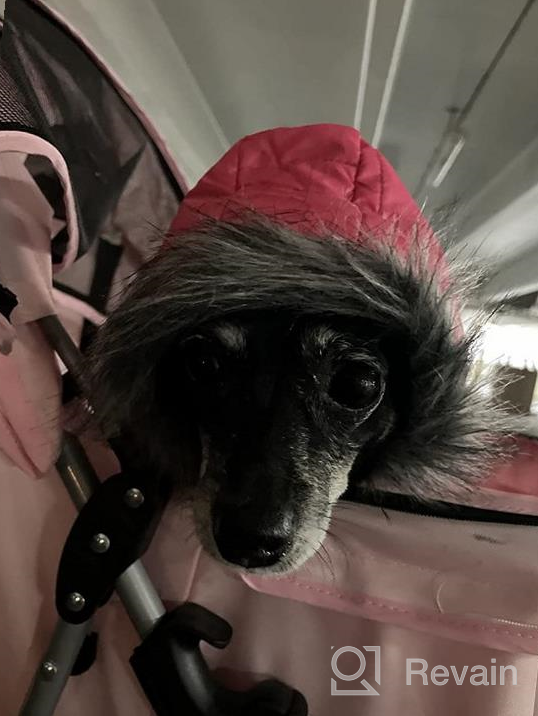 img 1 attached to Stay Warm & Stylish With Lesypet Pink Dog Winter Coat For Small Dogs review by Scott Walsh