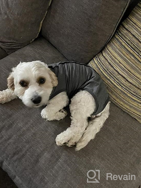 img 1 attached to Breathable Dog Surgical Recovery Suit For Male And Female Dogs - Ideal For Abdominal Wounds And Post-Operation Care, Anti-Licking Cone E Collar Alternative And Dog Vest, By LIANZIMAU review by John Ortiz