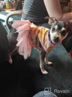 img 1 attached to KYEESE Floral Rose Dog Dresses with Flowers Decoration - Elegant Princess Dress for Small Dogs, Ideal for Spring and Summer - Puppy Apparel and Pet Clothing review by John Beltran