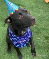 img 1 attached to Celebrate Your Pup'S Big Day With TCBOYING'S 11-Piece Dog Birthday Set – Blue Bandana, Hat, Scarf, Flags, Balloons & More! review by Troy Coskillas