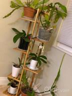 img 1 attached to 5 Tier 6 Potted Plant Stand Rack: Bamboo Flower Pot Holder Shelf For Indoor/Outdoor Planter Display Shelving Unit In Patio Garden, Corner Balcony & Living Room review by Danny Porter