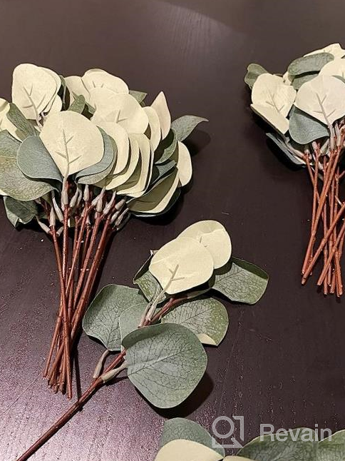 img 1 attached to 24 Seeded Eucalyptus Stems And Faux Silver Dollar Greenery For Wedding Bouquets, Centerpieces And Home Decor - Artificial Realistic Eucalyptus Leaves review by Loud Forrest