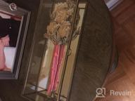 img 1 attached to Vintage-Inspired Glass Jewelry Box With Brass Metal And Mirrored Shadow Box For Elegant Jewelry Display review by Stacey Roberts