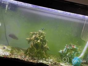 img 5 attached to Jasonwell Magnetic Aquarium Fish Tank Glass Algae Cleaner - Floating Brush (L Size)
