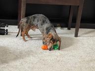 img 1 attached to Indestructible Dog Chew Toys For Aggressive Chewers - Rmolitty Stuffer Treat-Dispensing Tough Dog Toys For Small, Medium, And Large Dogs (Pinapple) review by Tutan Guliford