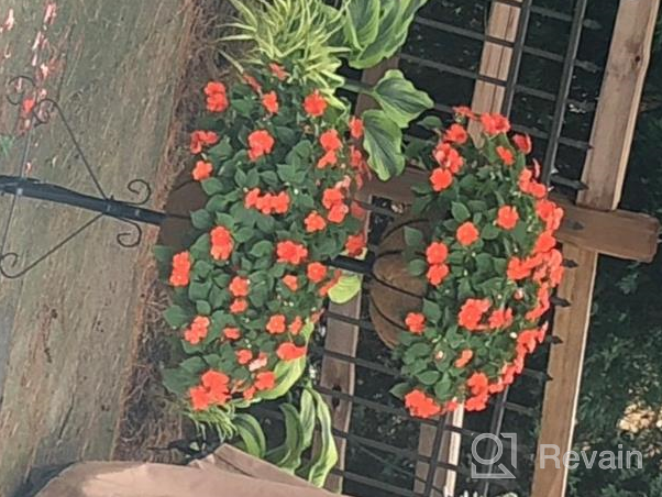 img 1 attached to Add Charm To Your Outdoor Area With Gardman R945 Forge Hanging Basket And Coco Liner | 12" X 7" Dimensions review by Vinay Mickel