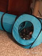 img 1 attached to Engage Your Feline Friend With PAWISE Cat Tunnel: Foldable, Interactive And Fun! review by Alex Marshall