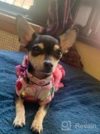 img 1 attached to KYEESE Floral Rose Dog Dresses with Flowers Decoration - Elegant Princess Dress for Small Dogs, Ideal for Spring and Summer - Puppy Apparel and Pet Clothing review by Dink Rivas