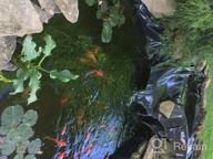img 1 attached to 16X20 Ft 20 Mil Thick HDPE Rubber Pond Liner For Outdoor Ponds, Fountains, Waterfalls & Water Gardens review by Chris Lacasse