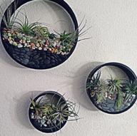 img 1 attached to Ecosides Round Indoor Wall Succulent Hanging Planter, Metal Decorative Freestanding Mount Holder With Glass For Air Plants, Faux Flower,Set Of 3 (White) review by Jason Elliss