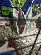 img 1 attached to Small Animal Hanging Hammock Bed For Ferret Hamster Parrot Rat Guinea-Pig Mice Chinchilla Flying Squirrel - Pink Strawberry review by Shane Mack