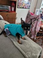 img 1 attached to Warm And Stylish Cotton Winter Coat For Small Dogs - Windproof Pet Clothing Perfect For Cold Weather Walking, Hiking, And Travel - Cozy Puppy Jacket In Cute Lake Blue - Size XL review by Robert Goodlow
