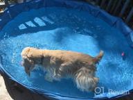 img 1 attached to Alvantor Foldable Portable Dog Bathing Tub- Perfect For Indoor And Outdoor Use review by Steven Darkshnar