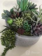 img 1 attached to 14 Pcs Artificial Succulents Plants Unpotted Green Hops String Of Pearls Echeveria Air Plant Picks Bulk For Garden Arrangement Centerpiece Indoor Outdoor Home Decor review by Joe Medlin