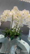 img 1 attached to 4PCS 38 Inch Artificial Butterfly Orchid Branches For Home Decor - White review by Greg Lockhart