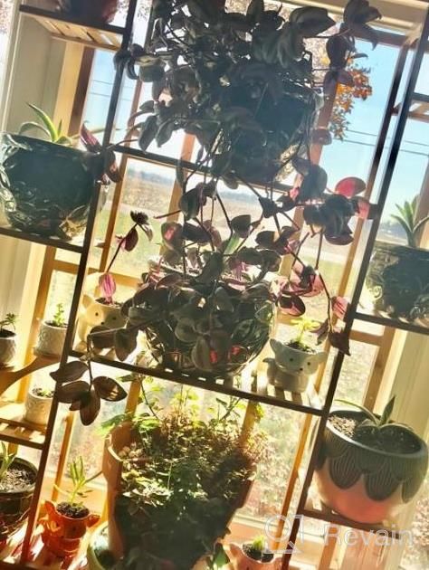 img 1 attached to Indoor Outdoor Flower Pot Rack: 9-Tier Bamboo Shelf Display Holder For 17 Potted Plants, Perfect For Patio, Garden, Balcony, Or Living Room Décor review by Shawn Torres