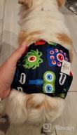 img 1 attached to CuteBone Male Dog Potty Training Belly Band, Leakproof Comfort 3-Pack (DM09XS) review by Justin Trujillo