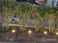 img 1 attached to Enhance Your Landscape With ZUCKEO'S Low Voltage LED Well Lights - Waterproof Spotlights For Garden, Yard, And Pathways, Pack Of 14 With Connectors Included! review by Jon Robertson