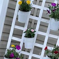 img 1 attached to Dahey 10 Pcs Hanging Flower Pots Metal Iron Bucket Planter For Railing Fence Balcony Garden Home Decoration Flower Holders With Detachable Hooks, Multi, 4 Inches review by Ashley Rodriguez