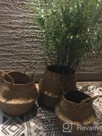 img 1 attached to 3 Pack Foldable Woven Seagrass Plant Basket With Handles - Ideal For Storage, Laundry, Picnic & More! review by Vincent Hurst