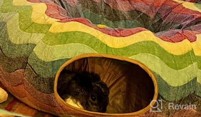 img 1 attached to Cat Heaven At Home! Get Your Furry Friend This Amazing 3-Way Collapsible Tunnel Bed With Ball Toy And Peek Hole For Fun Playtime And Exercise. review by Alan Sitton