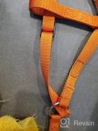 img 1 attached to PUPTECK Adjustable Soft Nylon Dog Harness With ID Tag - Perfect For No-Pull Walking And Outdoor Activities review by Shanee Cobb