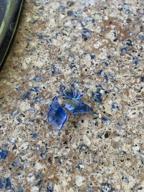 img 1 attached to 1/2 Inch Cobalt Blue Fire Glass Diamonds For Fireplace, Fire Pit & Landscaping - 10 Pound Blended High Luster Mr.Fireglass Rocks review by Samuel Hansen