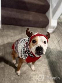 img 5 attached to KYEESE Christmas Dog Sweater Hoodie Reindeer Red Dogs Knitwear Pullover Pet Sweater With Leash Hole Ugly Christmas Dog Sweater For Small Dogs