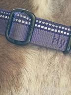 img 1 attached to Stay Safe And Stylish: Large Hyhug Pets Reflective Martingale Collar For Giant Breeds review by Joshua Talbot