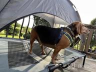 img 1 attached to XL Elevated Outdoor Dog Bed With Canopy, Portable And Durable 1680D Oxford Fabric, Ideal For Camping Or The Beach - Superjare, Brown With Extra Carrying Bag review by Katie Estabrook
