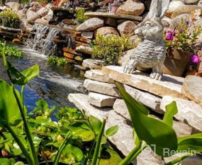img 6 attached to Pennington Aquagarden, Inpond 5 In 1 Pond & Water Pump, Filter, UV Clarifier, LED Spotlight And Fountain, All In One Solution For A Clean, Clear, And Beautiful Pond, For Ponds Up To 600 Gallons