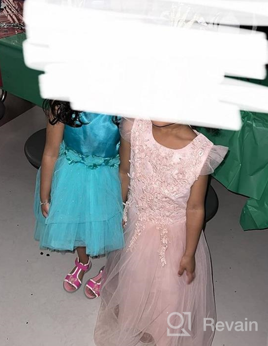 img 1 attached to 👑 Exquisite Princess Embroidery Pageant Communion Birthday Girls' Clothing: A Regal Touch for Special Occasions review by Steven Adams