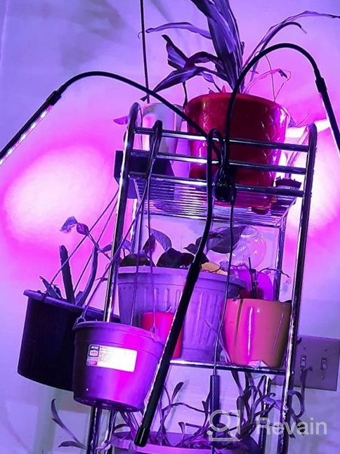 img 1 attached to Maximize Indoor Plant Growth With Remote Control 1000W Full Spectrum LED Grow Light review by Jeremiah Small