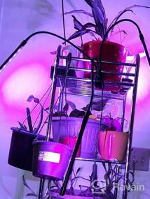 img 7 attached to Maximize Indoor Plant Growth With Remote Control 1000W Full Spectrum LED Grow Light