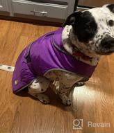 img 1 attached to Keep Your Dog Warm And Visible In The Cold With MIGOHI'S Waterproof And Windproof Dog Coat review by Jonathan Sriubas